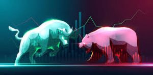 bull and bear