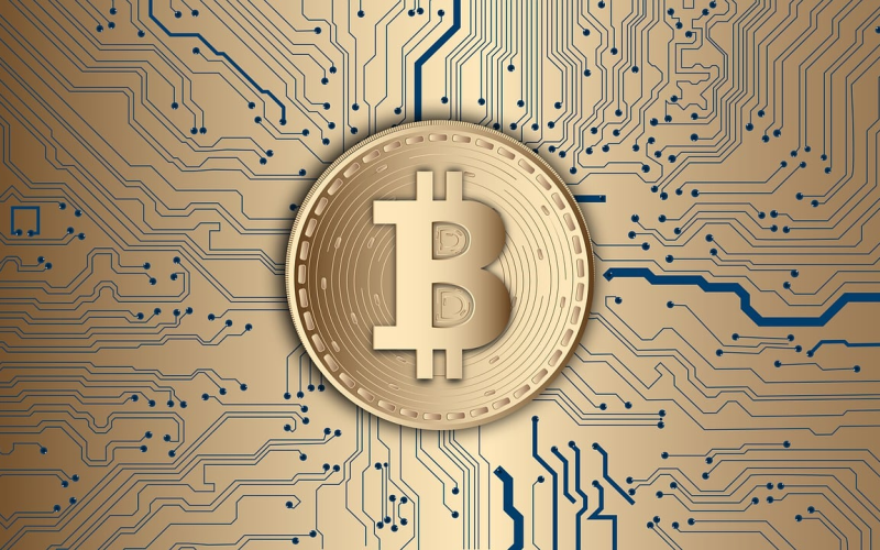 BITCOIN 2025 PERSPECTIVES CRYPTOMONNAIE PIONNIERE